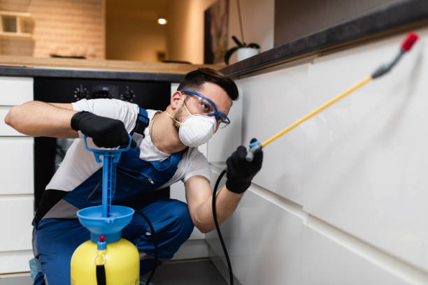 Best Residential Pest Control  in Falling Waters, WV