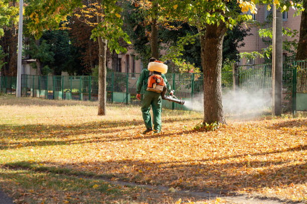 Bird Control in Falling Waters, WV